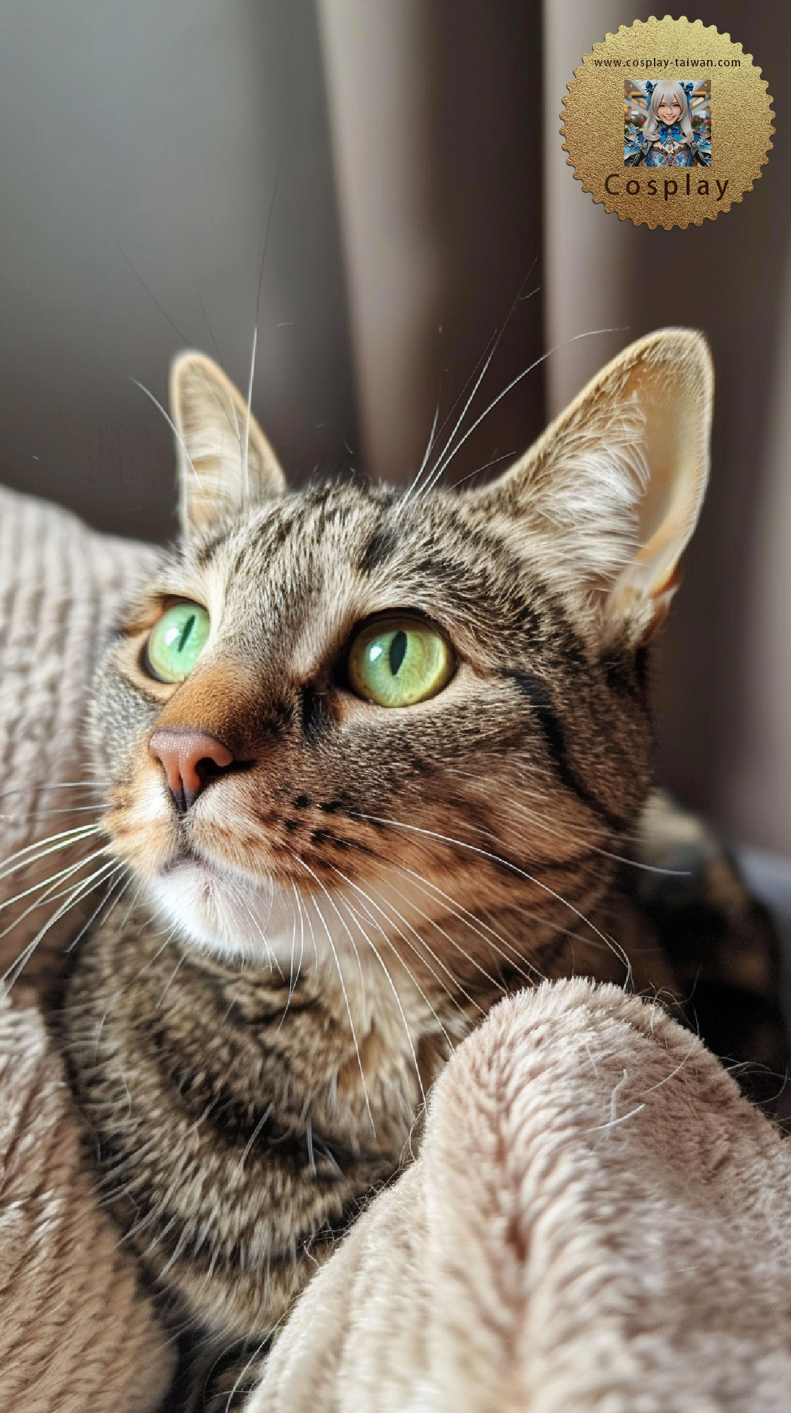 leonchou1968_A_cute_short_hair_cat_with_dark_grey_tabby_stripes_78a785a8-6700-469c-993e-23dcf2698b27.jpg